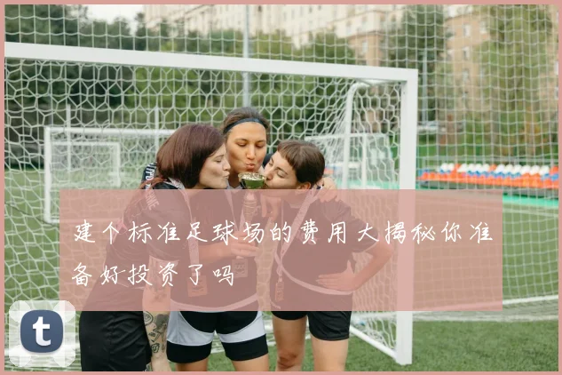 建个标准足球场的费用大揭秘你准备好投资了吗