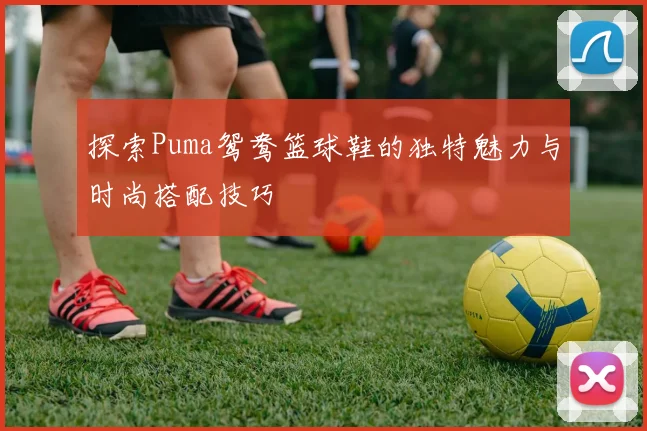 探索Puma鸳鸯篮球鞋的独特魅力与时尚搭配技巧