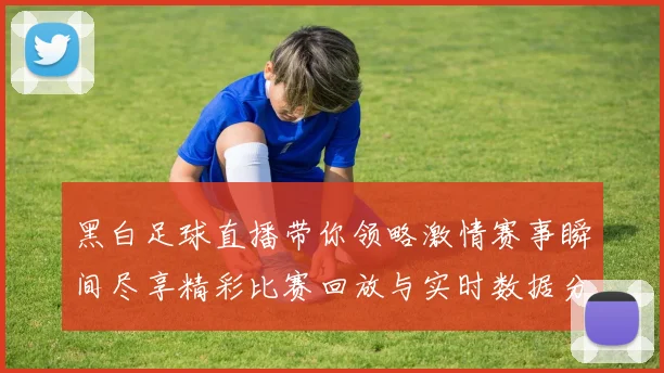 黑白足球直播带你领略激情赛事瞬间尽享精彩比赛回放与实时数据分析