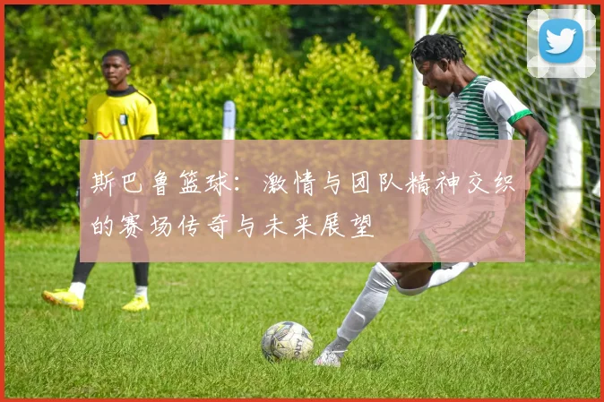 斯巴鲁篮球：激情与团队精神交织的赛场传奇与未来展望
