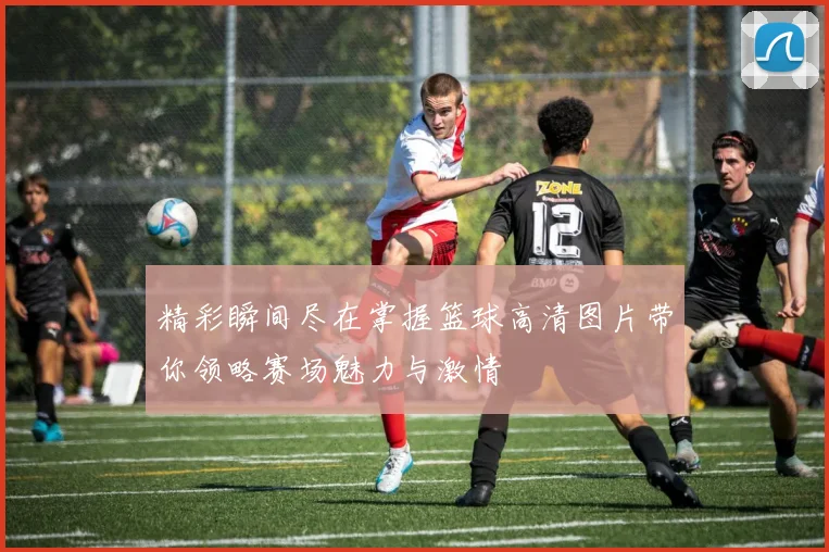 精彩瞬间尽在掌握篮球高清图片带你领略赛场魅力与激情