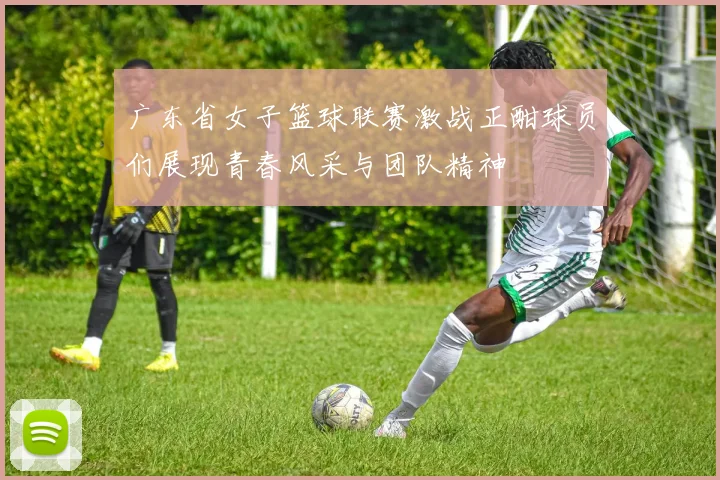 广东省女子篮球联赛激战正酣球员们展现青春风采与团队精神