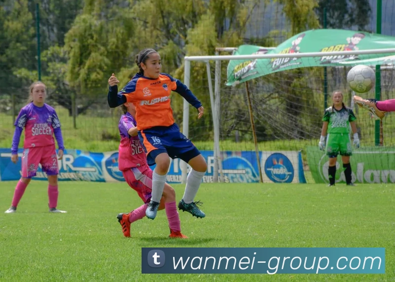 完美体育下载品牌故事